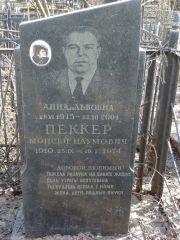 Пеккер Моисей Наумович, Москва, Востряковское кладбище